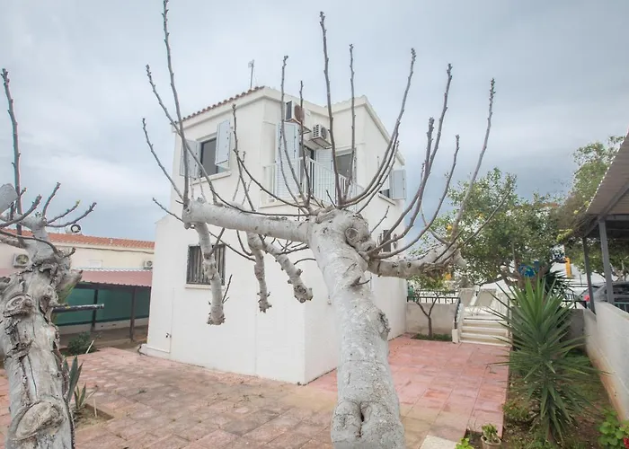 Peaceful Cozy Great Location *